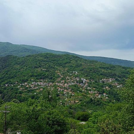 Guesthouse Kallisti Anilio Pelion Exteriér fotografie